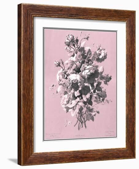 Dussurgey Roses on Pink-Dussurgey-Framed Art Print