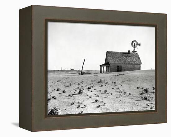 Dust Bowl Farm in Texas-Bettmann-Framed Premier Image Canvas