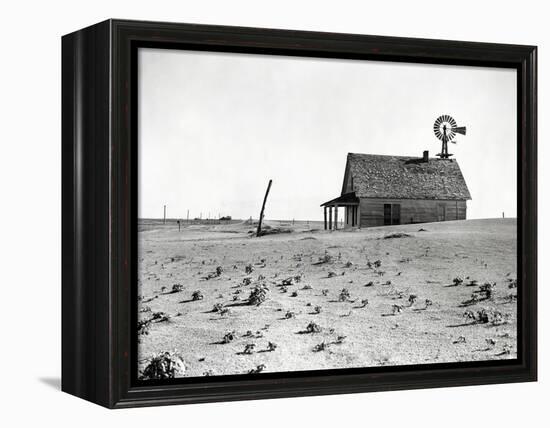 Dust Bowl Farm in Texas-Bettmann-Framed Premier Image Canvas