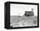 Dust Bowl Farm in Texas-Bettmann-Framed Premier Image Canvas