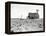 Dust Bowl Farm in Texas-Bettmann-Framed Premier Image Canvas