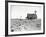 Dust Bowl Farm in Texas-Bettmann-Framed Photographic Print