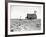 Dust Bowl Farm in Texas-Bettmann-Framed Photographic Print