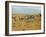 Dust Bowl-Science Source-Framed Giclee Print