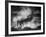 Dust Cats-Jaco Marx-Framed Photographic Print