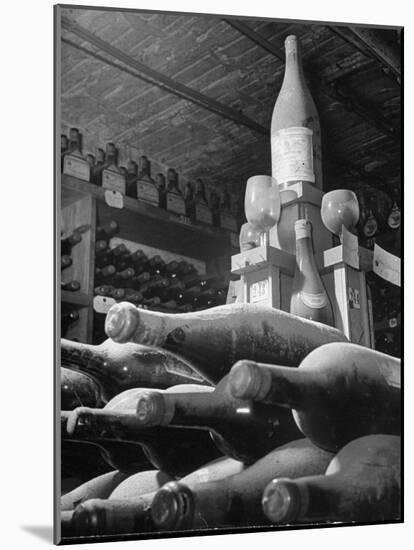 Dust Covered Wine and Brandy Bottles Lying on Racks in a Wine Cellar-Nina Leen-Mounted Photographic Print