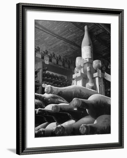 Dust Covered Wine and Brandy Bottles Lying on Racks in a Wine Cellar-Nina Leen-Framed Photographic Print