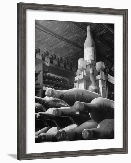 Dust Covered Wine and Brandy Bottles Lying on Racks in a Wine Cellar-Nina Leen-Framed Photographic Print