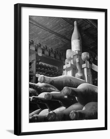 Dust Covered Wine and Brandy Bottles Lying on Racks in a Wine Cellar-Nina Leen-Framed Photographic Print