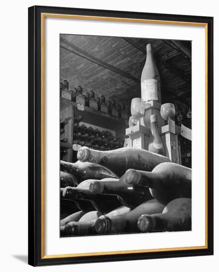 Dust Covered Wine and Brandy Bottles Lying on Racks in a Wine Cellar-Nina Leen-Framed Photographic Print