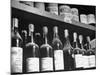 Dust-Covered Wine and Brandy Bottles Standing on Racks in a Wine Cellar-null-Mounted Premium Photographic Print