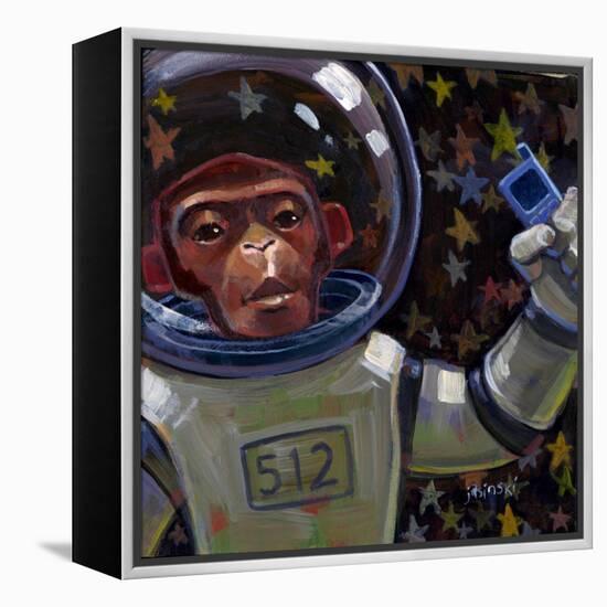 Dust Momkay-Aaron Jasinski-Framed Stretched Canvas