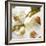 Dust Orchid-Viviane Fedieu Daniel-Framed Photographic Print