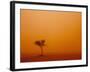 Dust Storm Turns Sky Orange with Blown Sand and Windswept Tree, Ivanhoe, New South Wales, Australia-Paul Souders-Framed Photographic Print