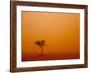 Dust Storm Turns Sky Orange with Blown Sand and Windswept Tree, Ivanhoe, New South Wales, Australia-Paul Souders-Framed Photographic Print