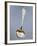 Dusting Spoon with Embossed Liberty-Style Decoration, Minerva Hallmark, Vermeil, France-null-Framed Giclee Print