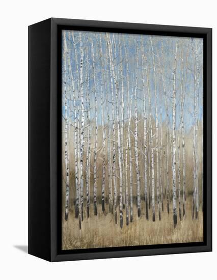 Dusty Blue Birches I-Tim OToole-Framed Stretched Canvas