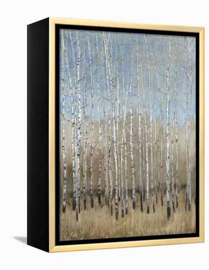 Dusty Blue Birches I-Tim OToole-Framed Stretched Canvas