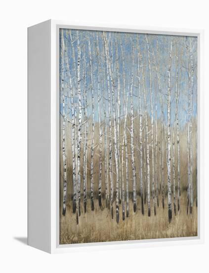 Dusty Blue Birches I-Tim OToole-Framed Stretched Canvas