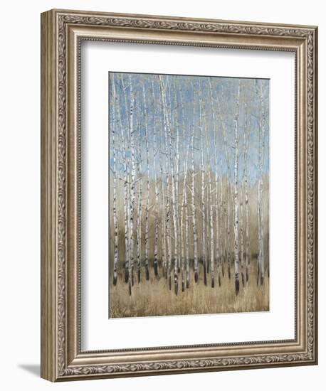 Dusty Blue Birches I-Tim OToole-Framed Art Print