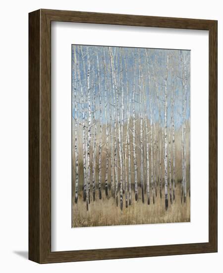 Dusty Blue Birches I-Tim OToole-Framed Art Print