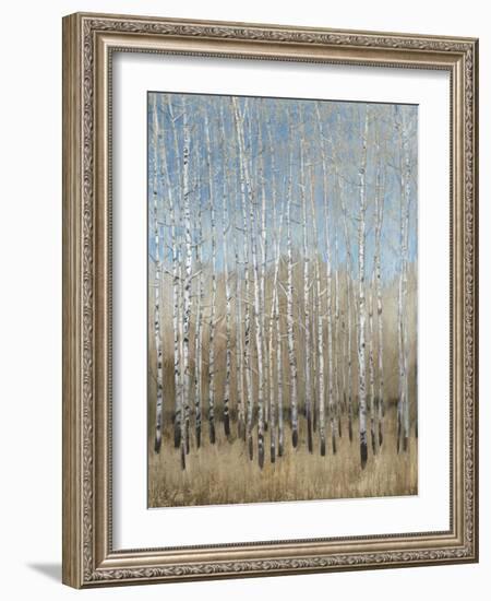 Dusty Blue Birches I-Tim OToole-Framed Art Print