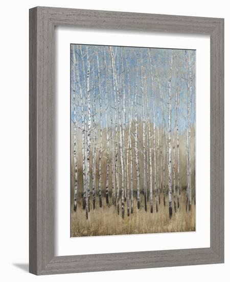 Dusty Blue Birches I-Tim OToole-Framed Art Print