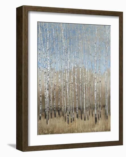 Dusty Blue Birches I-Tim OToole-Framed Art Print