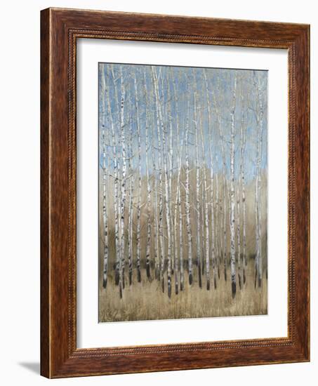 Dusty Blue Birches I-Tim OToole-Framed Art Print