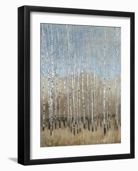 Dusty Blue Birches I-Tim OToole-Framed Art Print