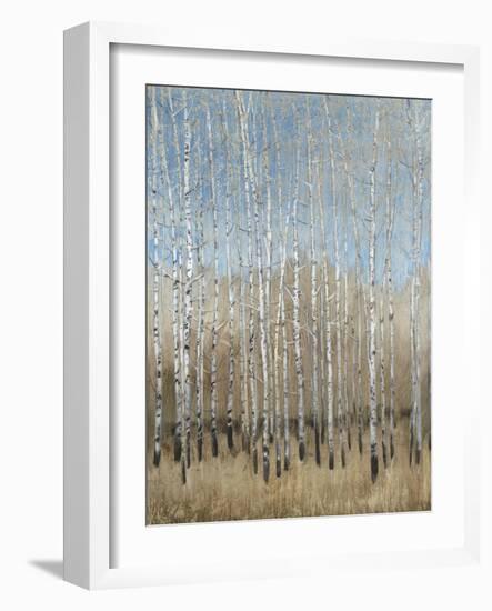 Dusty Blue Birches I-Tim OToole-Framed Art Print