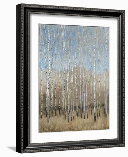 Dusty Blue Birches I-Tim OToole-Framed Art Print