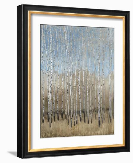 Dusty Blue Birches I-Tim OToole-Framed Art Print