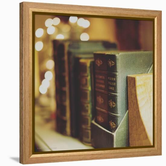 Dusty Books-Tim Kahane-Framed Premier Image Canvas