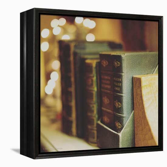 Dusty Books-Tim Kahane-Framed Premier Image Canvas