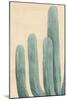 Dusty Cacti I-null-Mounted Art Print