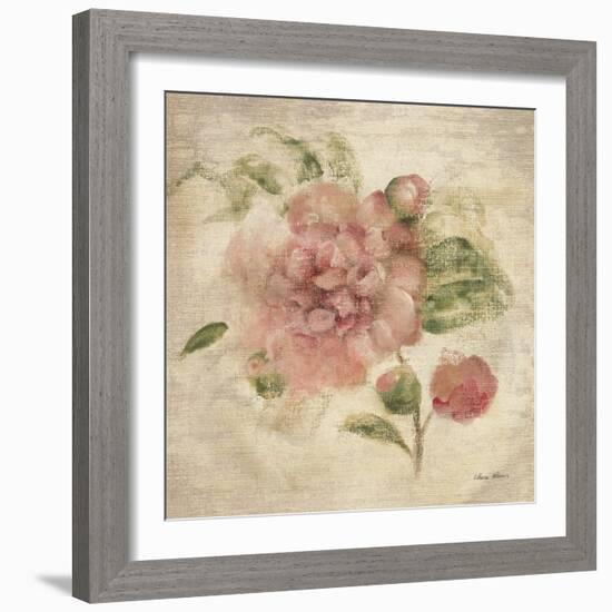 Dusty Pink Rose on Antique Linen Light-Cheri Blum-Framed Art Print