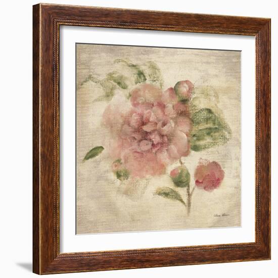 Dusty Pink Rose on Antique Linen Light-Cheri Blum-Framed Art Print