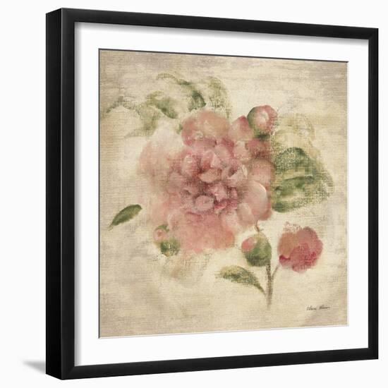 Dusty Pink Rose on Antique Linen Light-Cheri Blum-Framed Art Print