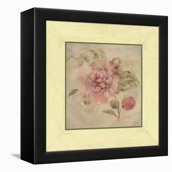 Dusty Pink Rose-Cheri Blum-Framed Stretched Canvas