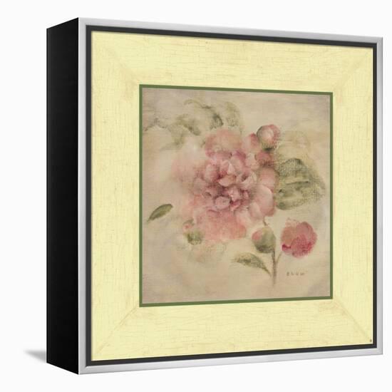 Dusty Pink Rose-Cheri Blum-Framed Stretched Canvas