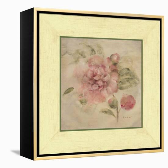 Dusty Pink Rose-Cheri Blum-Framed Stretched Canvas