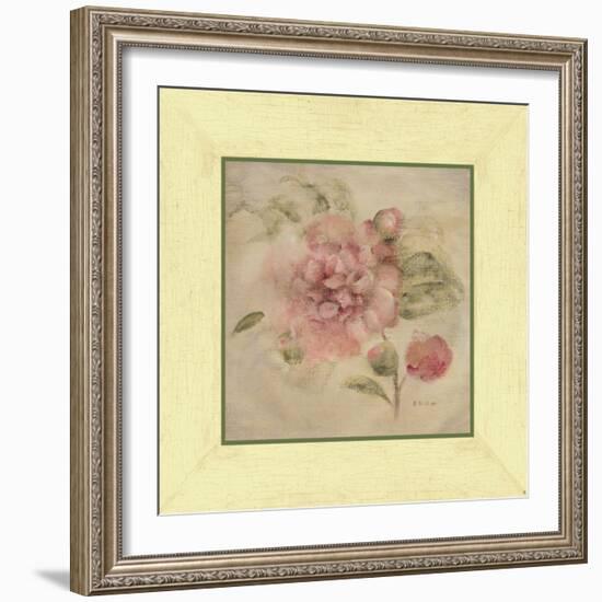 Dusty Pink Rose-Cheri Blum-Framed Art Print