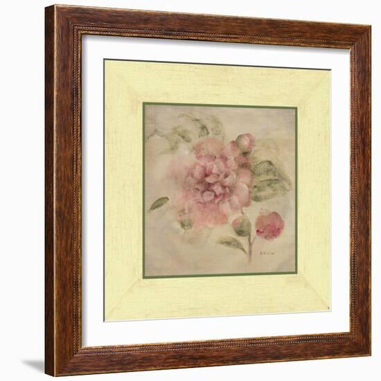 Dusty Pink Rose-Cheri Blum-Framed Art Print