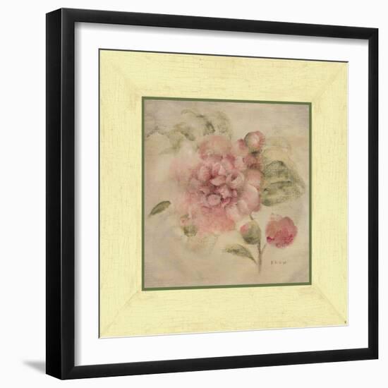 Dusty Pink Rose-Cheri Blum-Framed Art Print