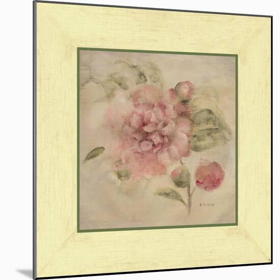 Dusty Pink Rose-Cheri Blum-Mounted Art Print