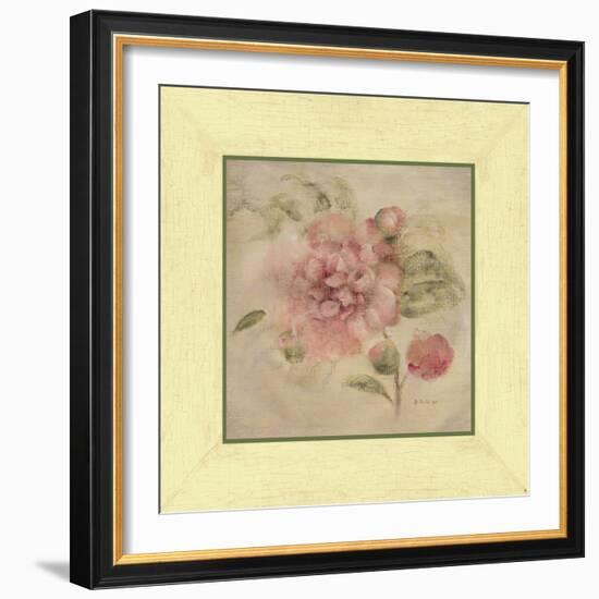 Dusty Pink Rose-Cheri Blum-Framed Art Print