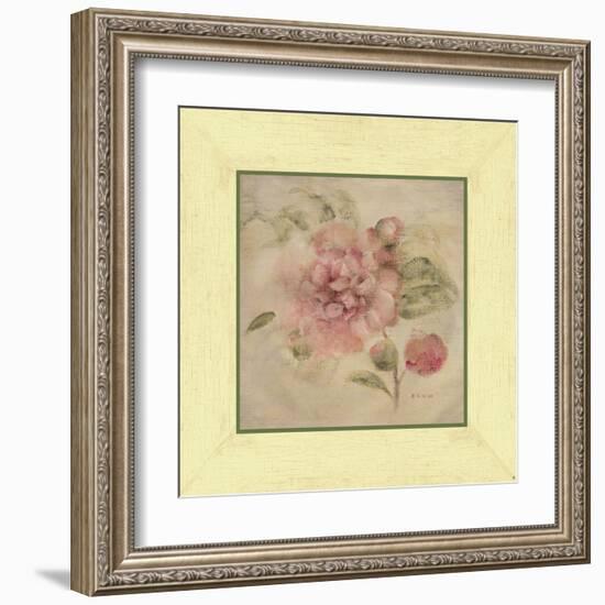 Dusty Pink Rose-Cheri Blum-Framed Art Print