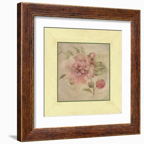 Dusty Pink Rose-Cheri Blum-Framed Art Print