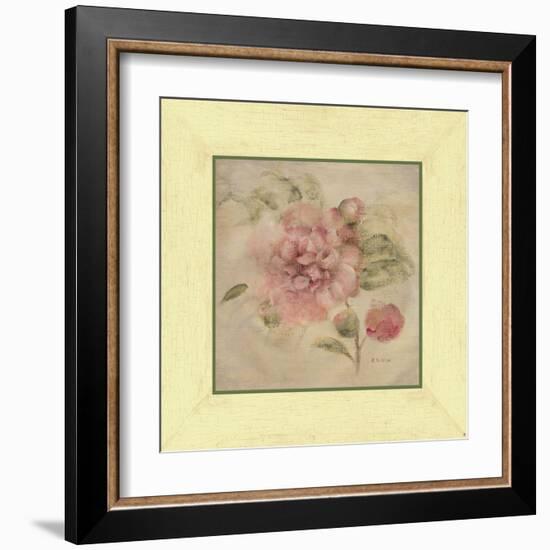 Dusty Pink Rose-Cheri Blum-Framed Art Print